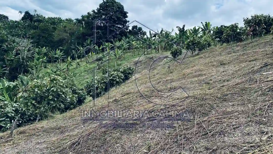 Casa Campestre, Circasia